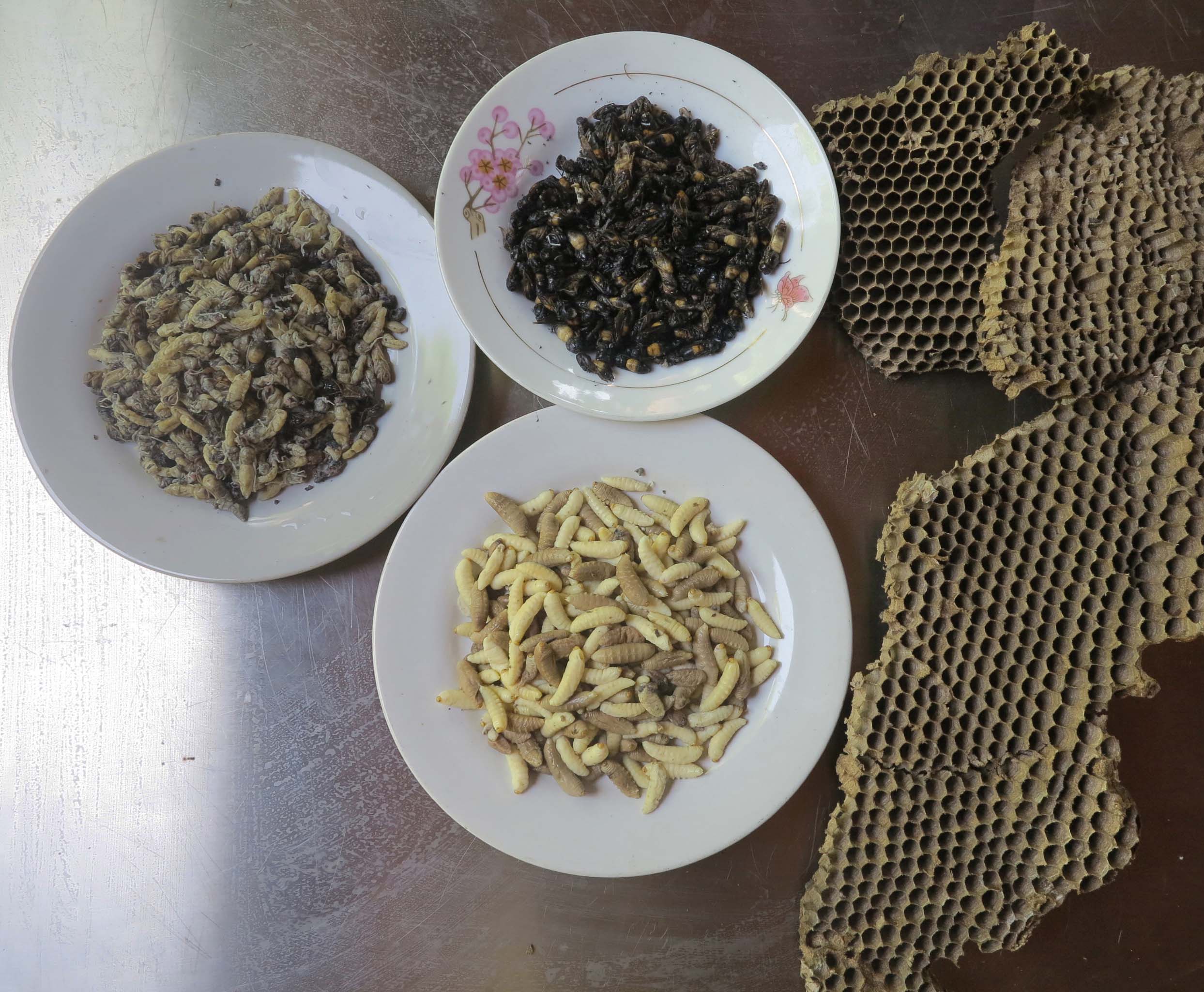 រូបលេខ១