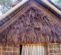 រូបលេខ៤